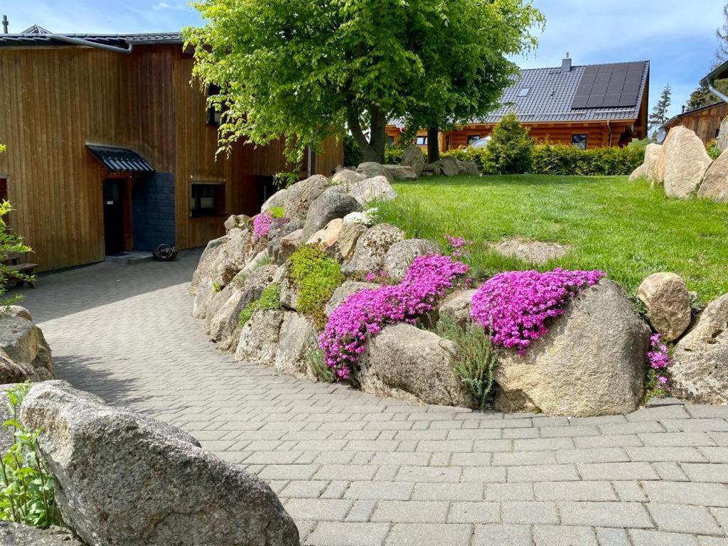 Naturstammhaus Und Appartements Zum Brockenbaecker タンネ エクステリア 写真