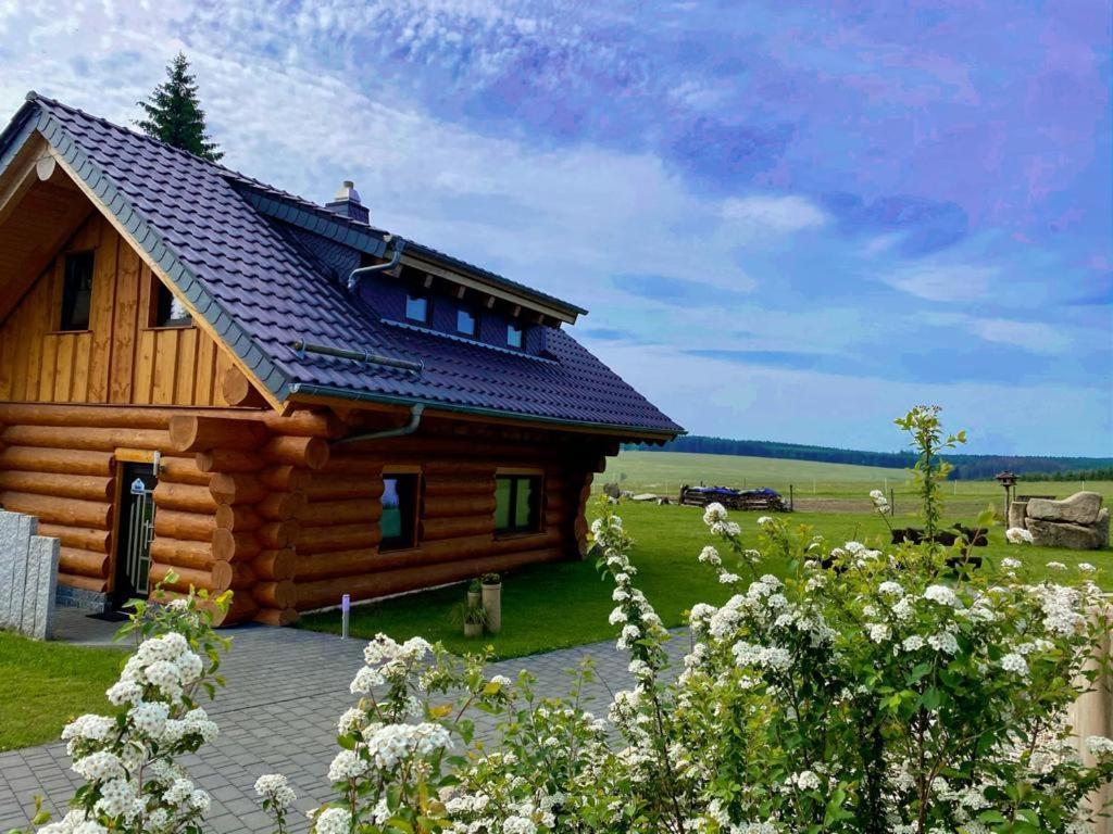 Naturstammhaus Und Appartements Zum Brockenbaecker タンネ エクステリア 写真