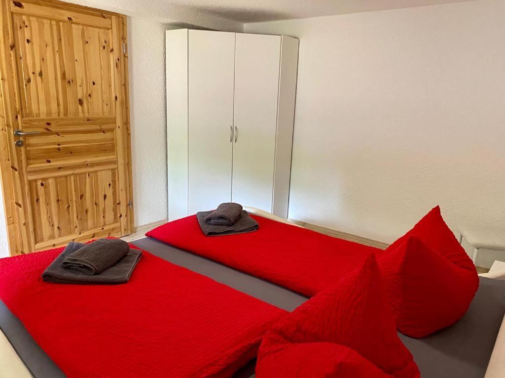 Naturstammhaus Und Appartements Zum Brockenbaecker タンネ エクステリア 写真
