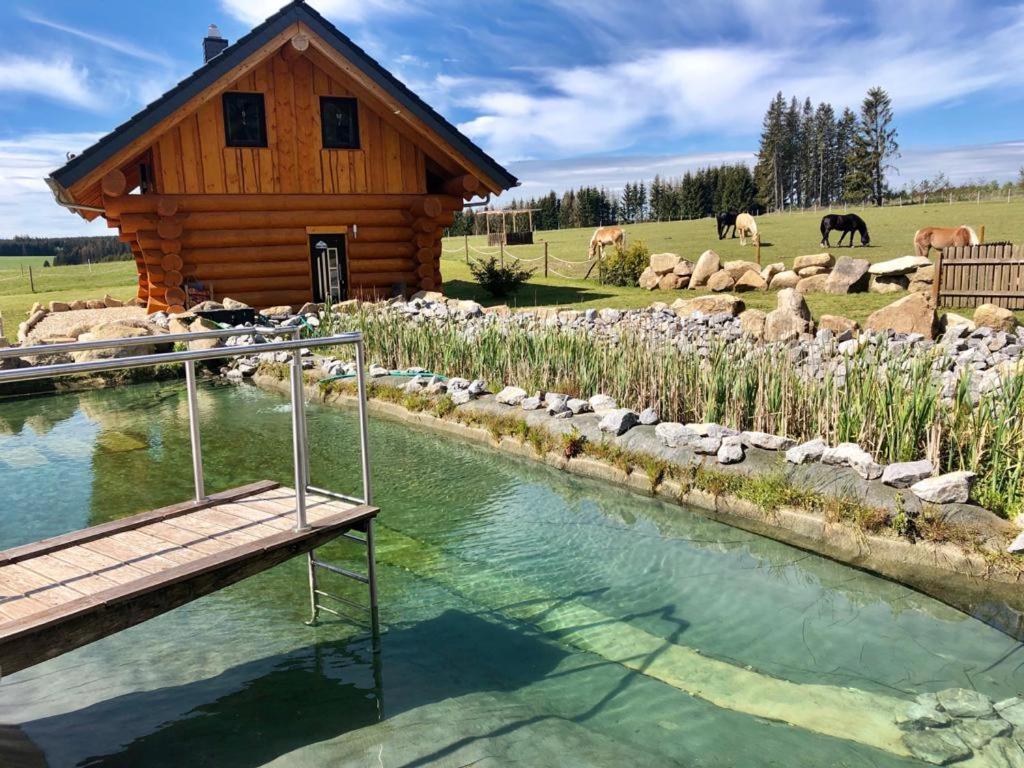 Naturstammhaus Und Appartements Zum Brockenbaecker タンネ エクステリア 写真