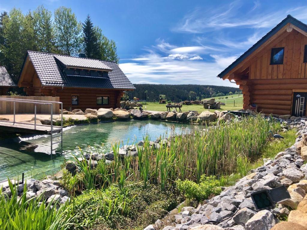 Naturstammhaus Und Appartements Zum Brockenbaecker タンネ エクステリア 写真