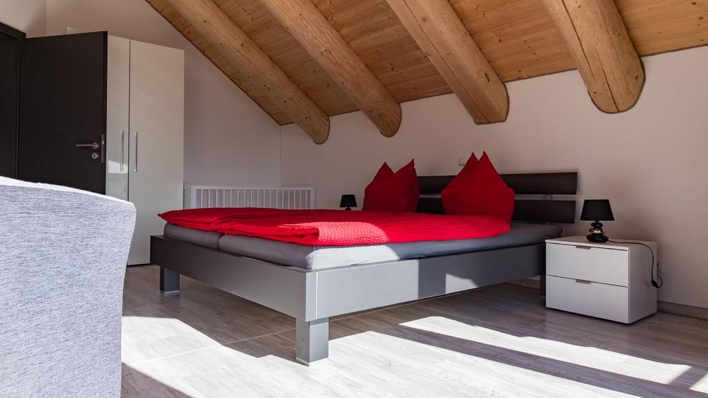 Naturstammhaus Und Appartements Zum Brockenbaecker タンネ エクステリア 写真